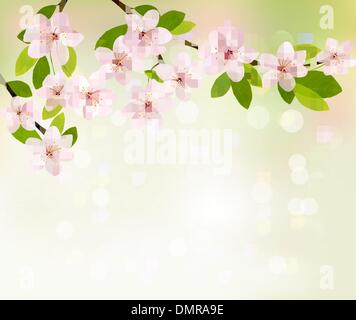 Hintergrund der Frühling mit blühenden Baum-Brunch mit Frühlingsblume Stock Vektor