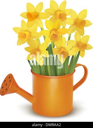 Gelbe frischen Frühlingsblumen in grüne Gießkanne. Vektor-illustration Stock Vektor