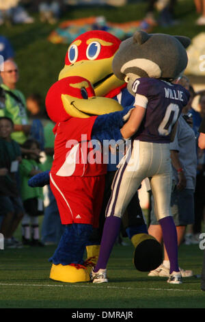 29. August 2009: des Maskottchen von Kansas und Kansas State zeigen Sie ihre Unterstützung für einander vor die MLS-Partie zwischen Real Salt Lake und die Kansas City Wizards. Real Salt Lake de 1-0 im CommunityAmerica Ballpark, Kansas City, KS. (Kredit-Bild: © Tyson Hofsommer/Southcreek Global/ZUMApress.com) Stockfoto