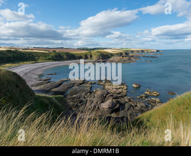 Todhead Leuchtturm Catterline Stonehaven Nordsee Bucht Stockfoto