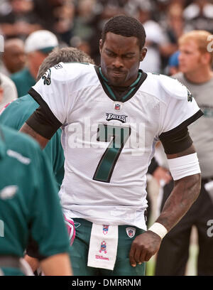 18. Oktober 2009 - Oakland, Kalifornien, USA - Oakland Raiders Vs Philadelphia Eagles im Oakland-Alameda County Coliseum Sonntag, 18. Oktober 2009, verbrachte Philadelphia Eagles-Quarterback Michael Vick #7 die meisten das Spiel an der Seitenlinie kein Chacne zu spielen. (Kredit-Bild: © Al Golub/ZUMApress.com) Stockfoto
