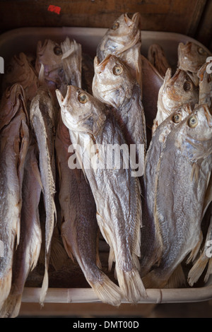 Getrocknete und gesalzene Fische auf dem chinesischen Lebensmittelmarkt, Grant Street, Chinatown, San Francisco Stockfoto
