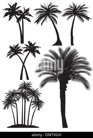 Palm-Bäume-set Stock Vektor