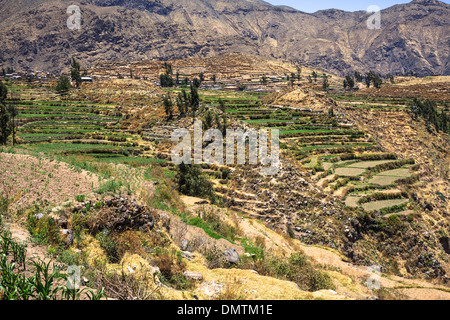 Cabanaconde und der Colca Canyon, Peru Stockfoto