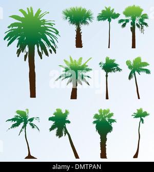 Sammlung von Vector Palm Bäume Silhouetten. Einfach zu bearbeiten, alle s Stock Vektor