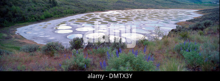 See in der Nähe von Osoyoos, South Okanagan Valley, BC, Britisch-Kolumbien, Kanada - historischen ersten Nationen Heilige Mineralwässer gesichtet Stockfoto