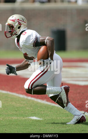 26. September 2009 - Tallahassee, Florida, USA - 26. September 2009: Florida State Cornerback Greg Reid (5) kehrt eine Kick-off im ersten Quartal. Die University of South Florida Bulls gewann 17-7 in diesem Mittag Spiel im Doak S. Campbell Stadium in Tallahassee, FL. (Credit-Bild: © Southcreek Global/ZUMApress.com) Stockfoto