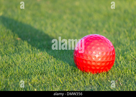 Roten Golfball auf dem Rasen des Golf-Feld Stockfoto