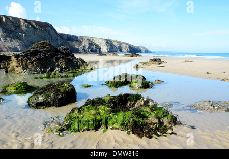 Der Strand von Porthtowan in Cornwall, Großbritannien Stockfoto