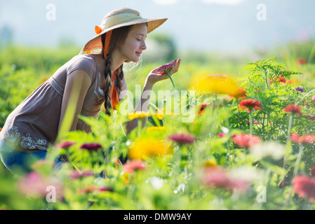 Im Sommer auf einem Bio-Bauernhof. Eine junge Frau in einem Feld von Blumen. Stockfoto