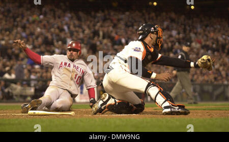 23. Oktober 2002 wartet der Wurf im zweiten Inning Aktion Spiel 4 der World Series 2002 auf Mittwoch, 23. Oktober 2002 im Pac Bell Park in San Francisco Kalifornien - San Francisco, CA, USA - BENJI GIL die Anaheim Angels Dias sicher über Home-Plate als Riesen Catcher Benito Santiago  (Kredit-Bild: © Karl Mondon/Contra Costa Times / ZUMA Press) Einschränkungen: USA Boulevardpresse RIGH Stockfoto