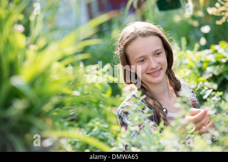 Im Sommer auf einem Bio-Bauernhof. Ein junges Mädchen in einer Gärtnerei voller Blumen. Stockfoto