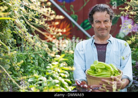 Im Sommer auf einem Bio-Bauernhof. Ein Mann hält einen Korb mit frisch gepflückten Gemüse. Stockfoto