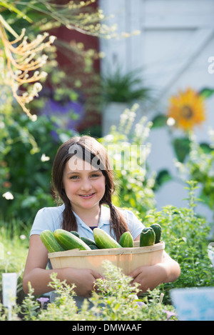 Im Sommer auf einem Bio-Bauernhof. Ein Mädchen einen Korb mit frischen Gurken halten. Stockfoto