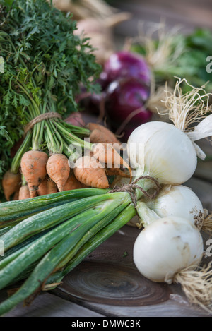 Sortierung und hacken frisch gepflückt Gemüse und Obst. Stockfoto