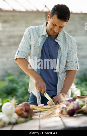 Sortierung und hacken frisch gepflückt Gemüse und Obst. Ein Mann mit einem scharfen Messer. Stockfoto