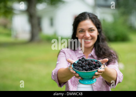 Eine Frau hält eine Schale mit frisch gepflückten Brombeeren. Stockfoto