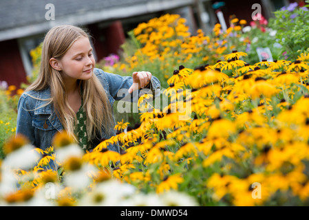 Ein Bio-Blumen-Gärtnerei. Ein junges Mädchen Blumen betrachten. Stockfoto