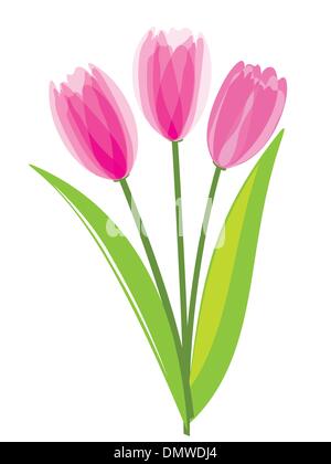 Rosa Tulpen isoliert auf weißem Hintergrund Stock Vektor