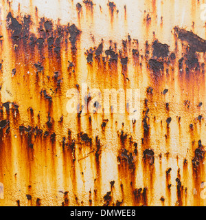 Streifen von Rost aus Stahl Schrauben an einem Metall sheet.l Stockfoto