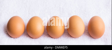 Fünf frische Hühnereier auf weißem Hintergrund Stockfoto