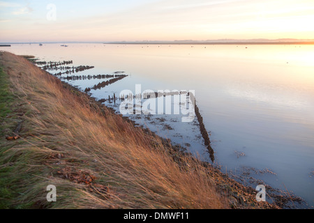 Winterliche Landschaft Fluss Deben bei Sonnenuntergang Ramsholt, Suffolk, England Stockfoto