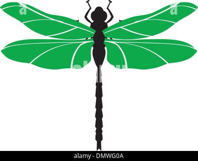 Illustration der Libelle Stock Vektor