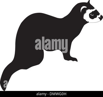 Illustration der Frettchen Stock Vektor