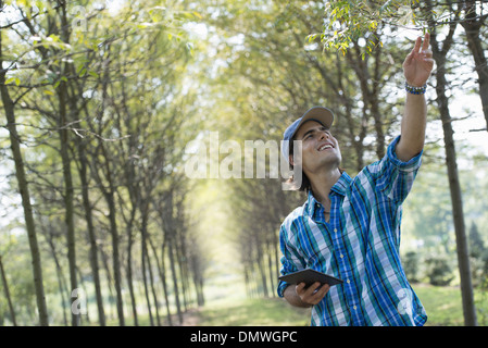 Ein Mann in eine Allee von Bäumen mit einem digital-Tablette. Stockfoto