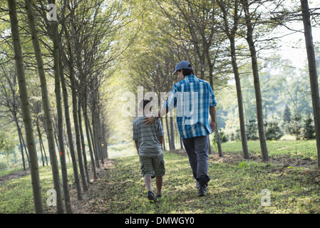 Ein Mann und eine junge hinunter eine Allee von Bäumen. Stockfoto