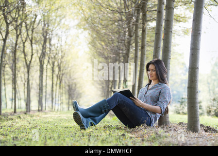 Sitzt eine Frau ein Buch unter Bäumen. Stockfoto