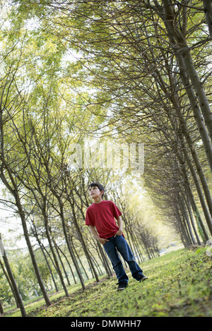 Ein kleiner Junge im Wald schaut sich neugierig um. Stockfoto