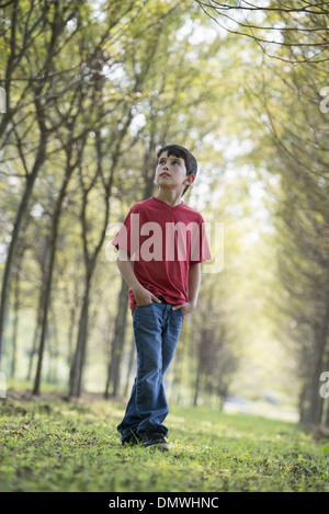 Ein kleiner Junge im Wald schaut sich neugierig um. Stockfoto