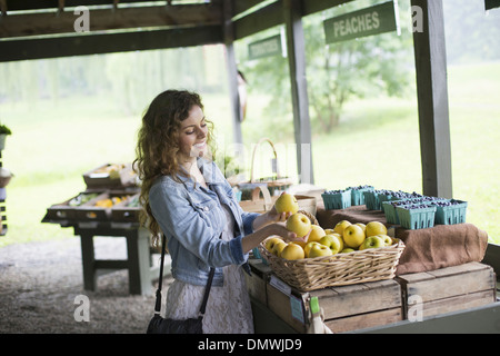 Ein Bio-Obst und Gemüse Bauernhof. Eine junge Frau, die Sortierung von Gemüse. Stockfoto