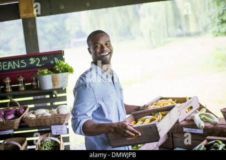 Ein Bio-Obst und Gemüse Bauernhof. Ein Mann mit Gemüse-Boxen. Stockfoto