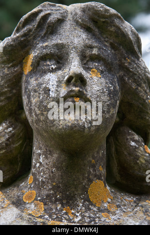 Flechten bedeckt Steinkopf eines Engels aus einem Grabmonument Stockfoto