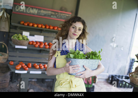 Ein Bio-Bauernhof Stand. Eine Frau, die Sortierung von Gemüse. Stockfoto