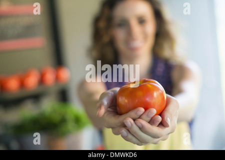 Ein Bio-Obst und Gemüse Bauernhof. Eine Frau hält eine Tomate. Stockfoto