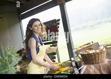 Ein Bio-Obst und Gemüse Bauernhof. Eine junge Frau, die Sortierung von Gemüse. Stockfoto