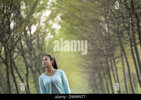 Eine Frau zwischen zwei Reihen Bäume auf der Suche nach oben. Stockfoto