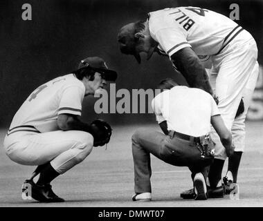 5. August 1970 - Cincinnati, Ohio, USA - PETE ROSE (#14) wurde den Spitznamen "Charlie Hustle" früh in seiner beruflichen Laufbahn als Spieler bei den Cincinnati Reds gegeben. Während seiner 24 Jahre Major-League-Karriere, die er spielen würde fünf verschiedene Feldpositionen für drei verschiedene Teams schaffen den Rekord für die meisten Karriere-Treffer, [4256] und spielte in mehr Spiele, [3562], als jede andere Stockfoto