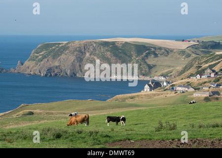 Gardenstown Crovie Dörfer Kirche kirk Stockfoto