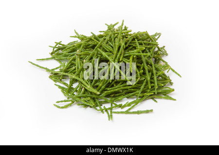 Meerfenchel, Crithmum Maritimum isoliert auf einem weißen Studio-Hintergrund. Stockfoto