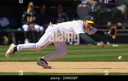18. April 2002; Oakland, Kalifornien, USA; Oakland Athletics Mark Ellis, #14, taucht aber nicht erreichen einen Ball schlagen von Anaheim Angels David Eckstein, #22, im achten Inning ihres Spiels auf Donnerstag, 18. April 2002 an Network Associates Coliseum in Oakland, Kalifornien Oakland schlagen Anaheim 4-2. Stockfoto