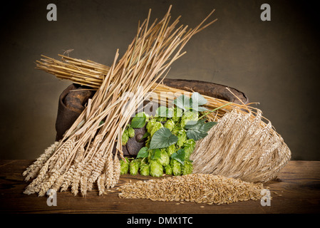 Stillleben mit Hopfenzapfen und Rohstoff für die Herstellung von Bier Stockfoto