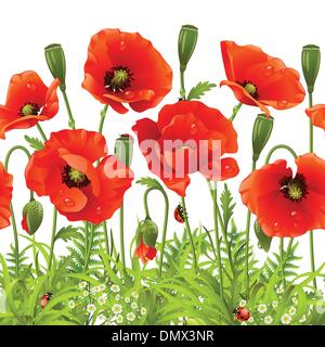 Rote Blume und grasgrün Stock Vektor