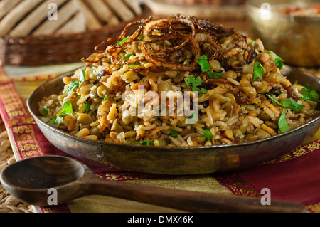 Mujadara. Reis und Linsen Gericht. Nahen Osten Essen Stockfoto