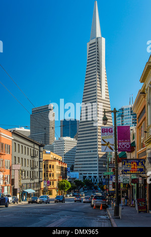 Die Transamerica Pyramid Gebäude gesehen aus Columbus Avenue, San Francisco, Kalifornien, USA Stockfoto