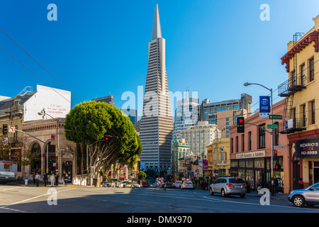 Die Transamerica Pyramid Gebäude gesehen aus Columbus Avenue, San Francisco, Kalifornien, USA Stockfoto