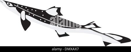 Vektor-Hai katran Stock Vektor